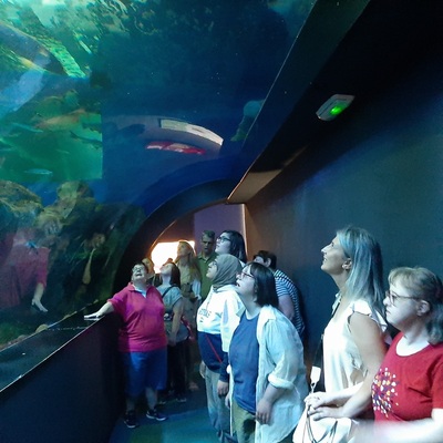 ACUARIO DE GIJON